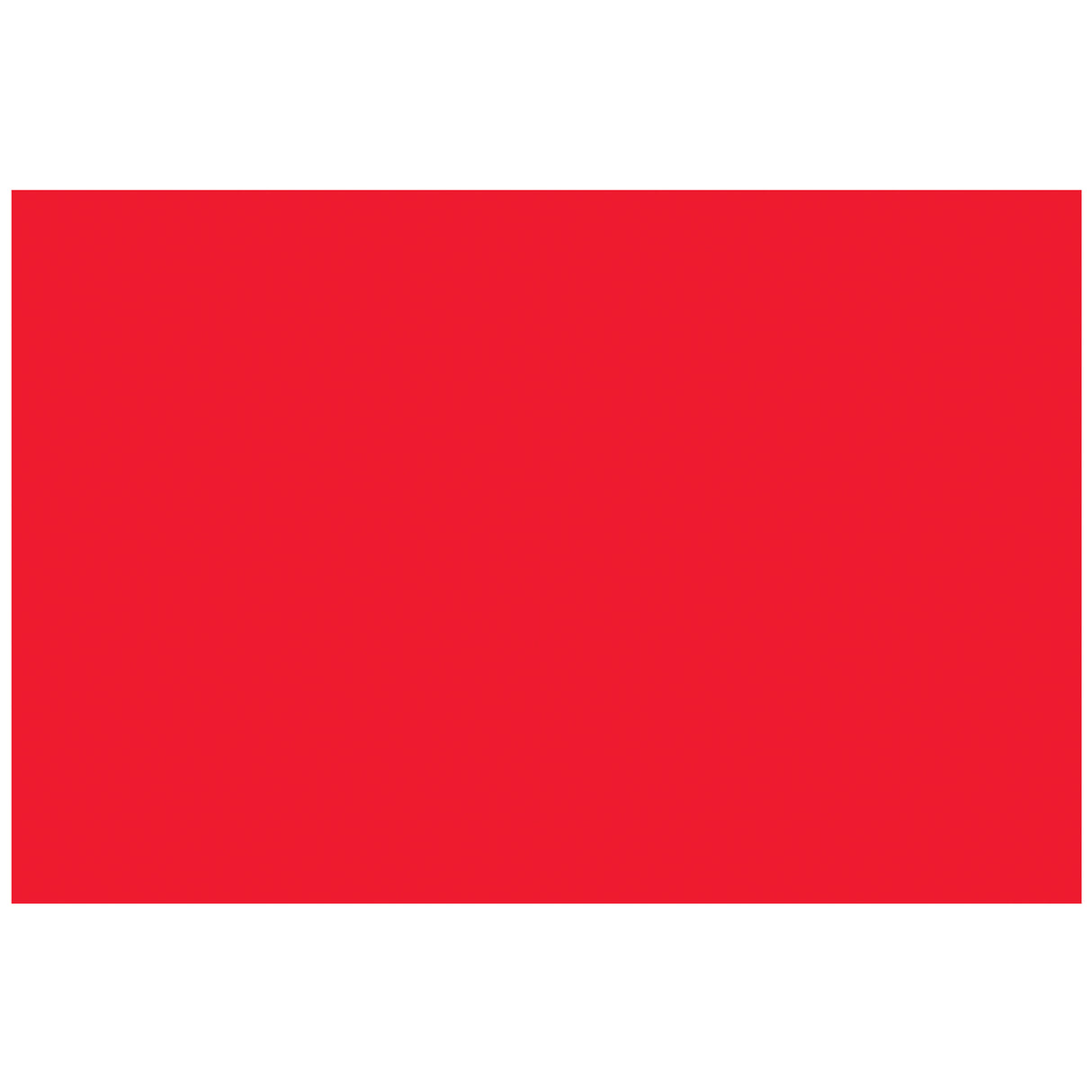 2 x 3" - Fluorescent Red Removable Rectangle Labels