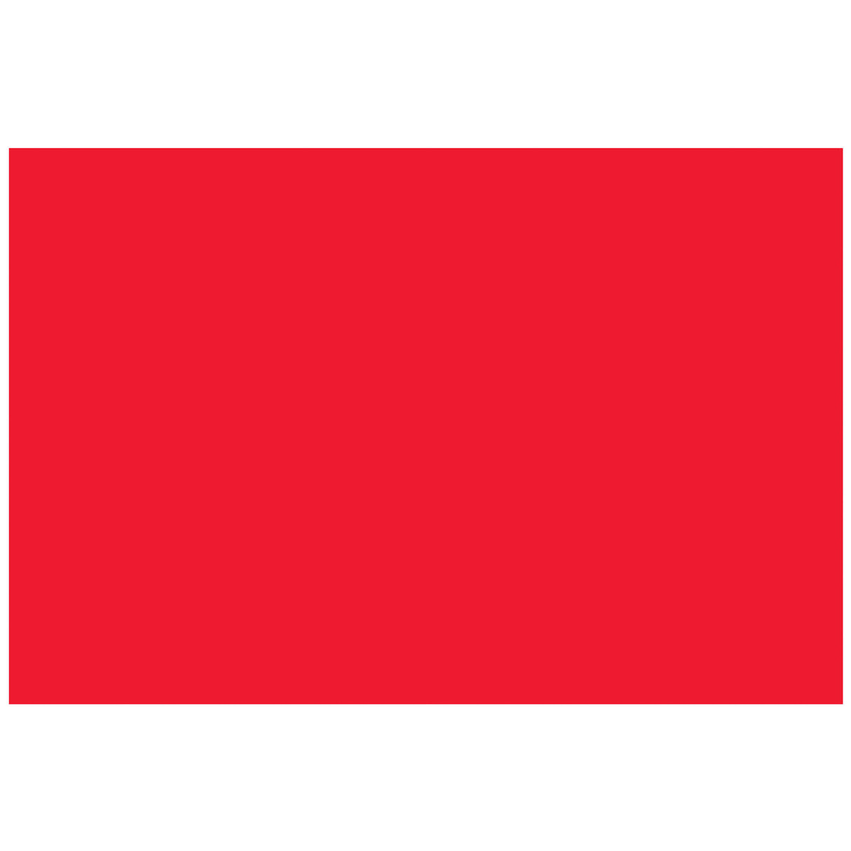 2 x 3" - Fluorescent Red Removable Rectangle Labels