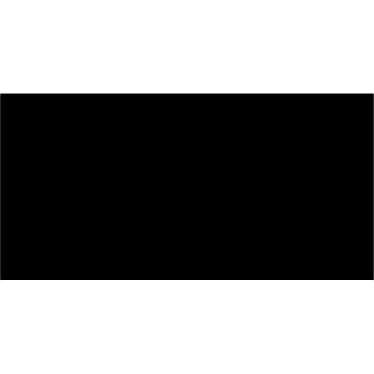 3 x 6" Black Inventory Rectangle Labels