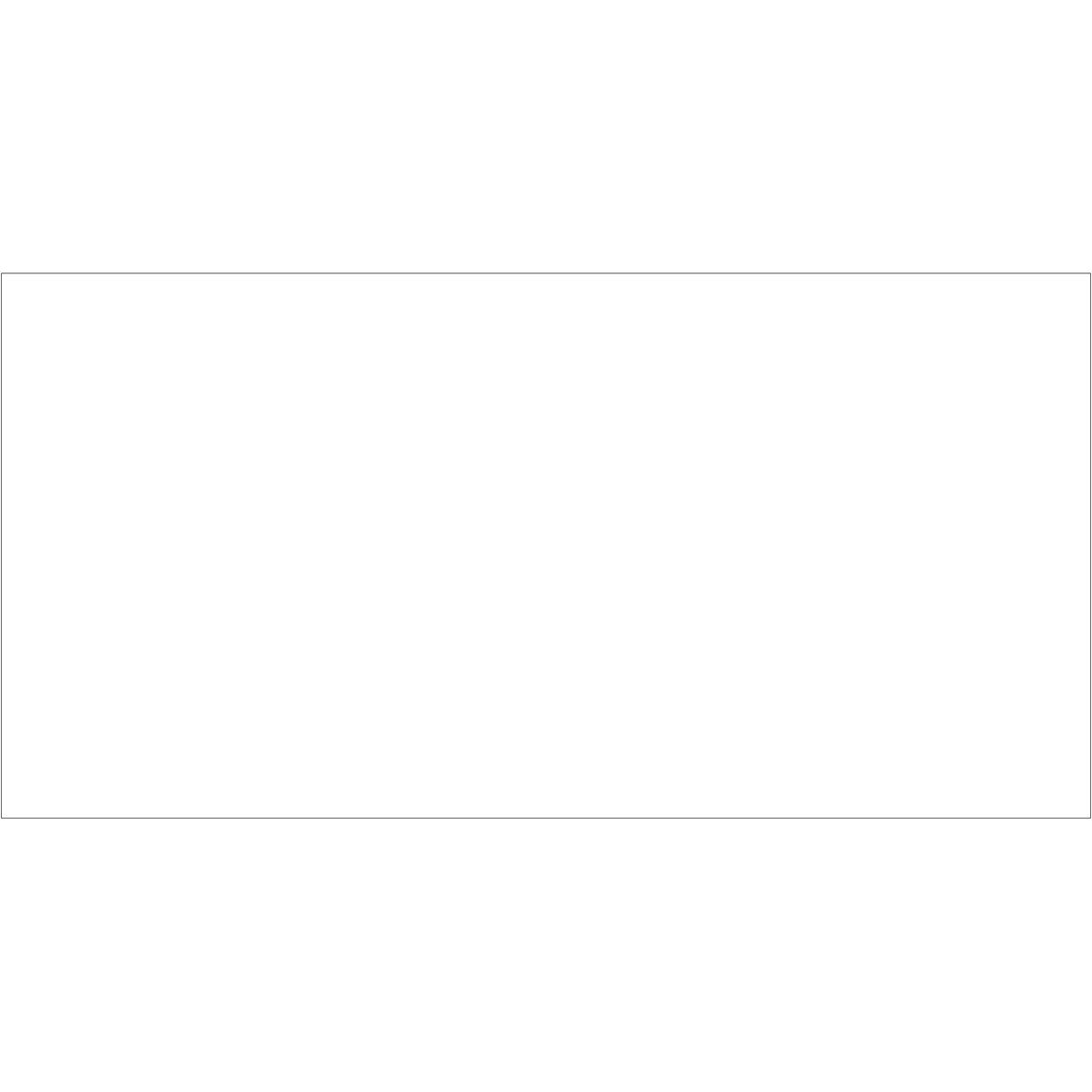 2 x 4" White Inventory Rectangle Labels