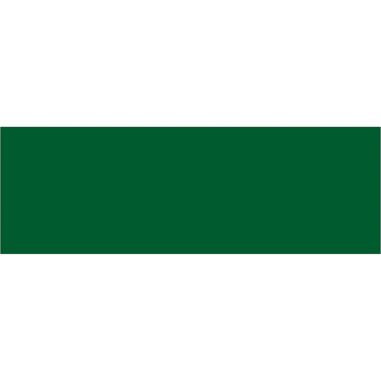 3 x 9" Green Inventory Rectangle Labels