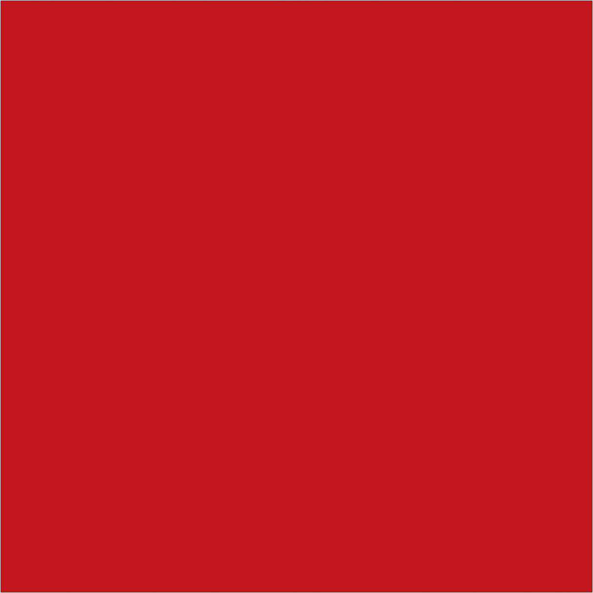 4 x 4" Red Inventory Rectangle Labels