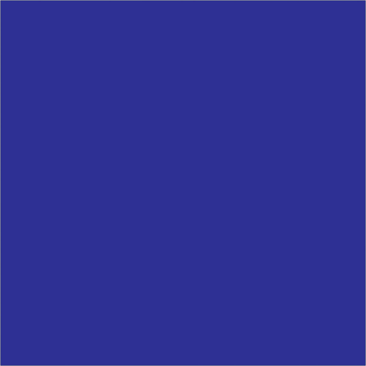 4 x 4" Dark Blue Inventory Rectangle Labels