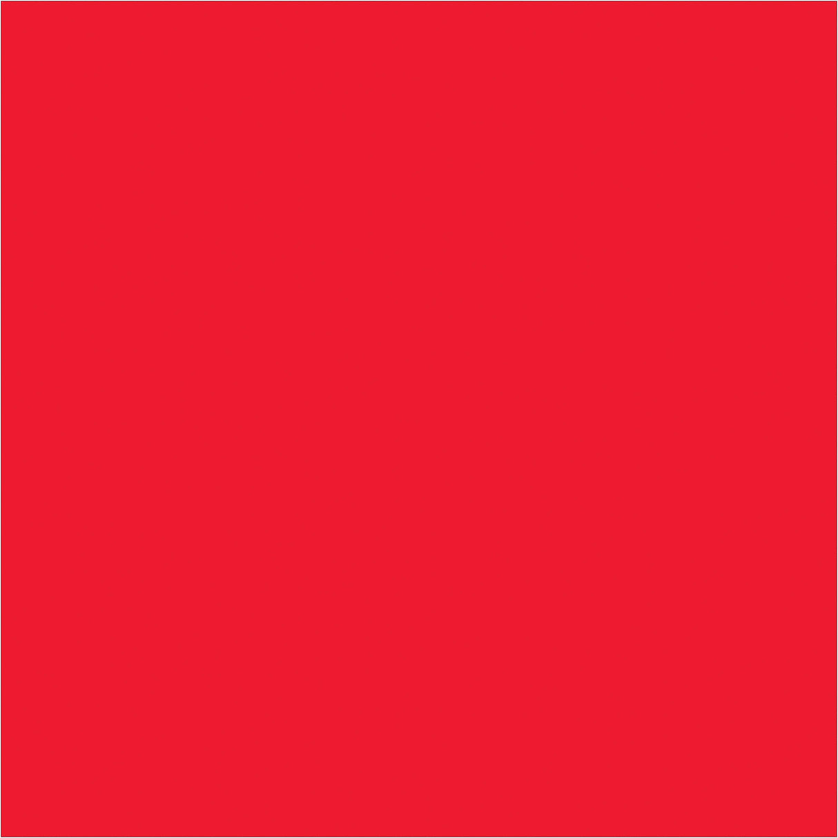 4 x 4" Fluorescent Red Inventory Rectangle Labels
