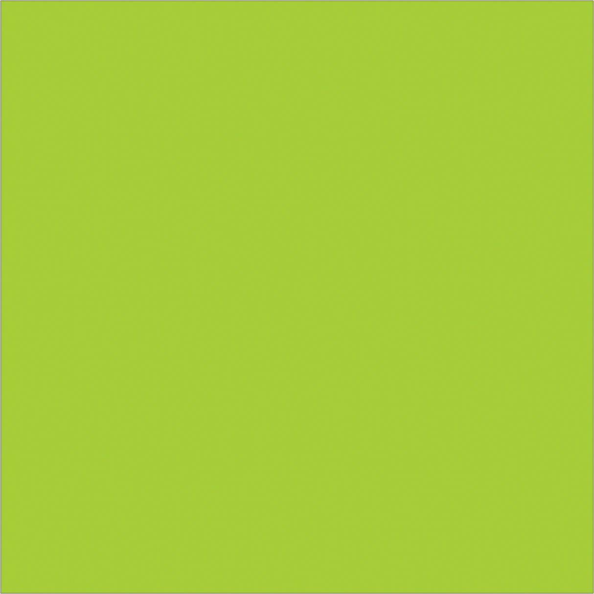 4 x 4" Fluorescent Green Inventory Rectangle Labels