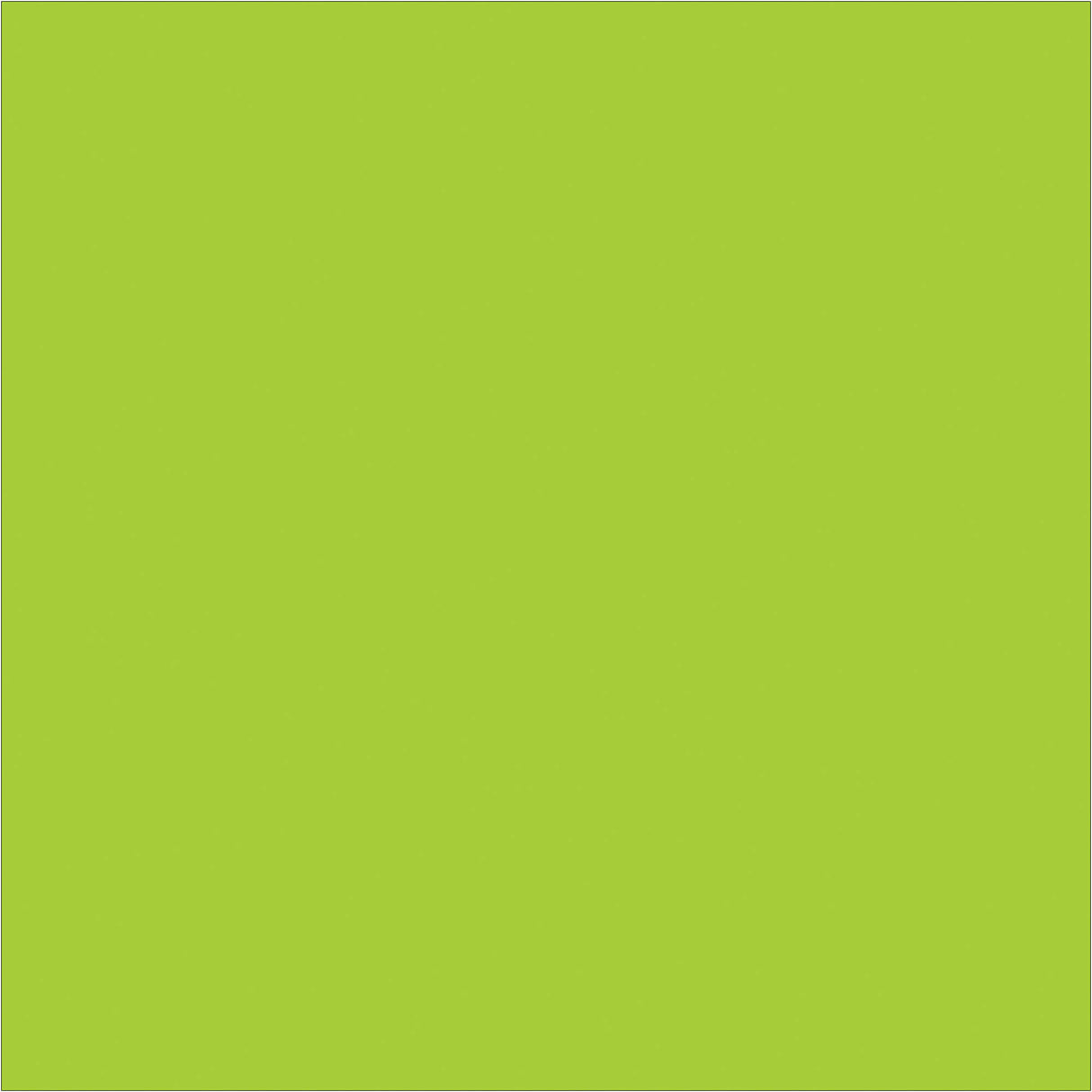 4 x 4" Fluorescent Green Inventory Rectangle Labels