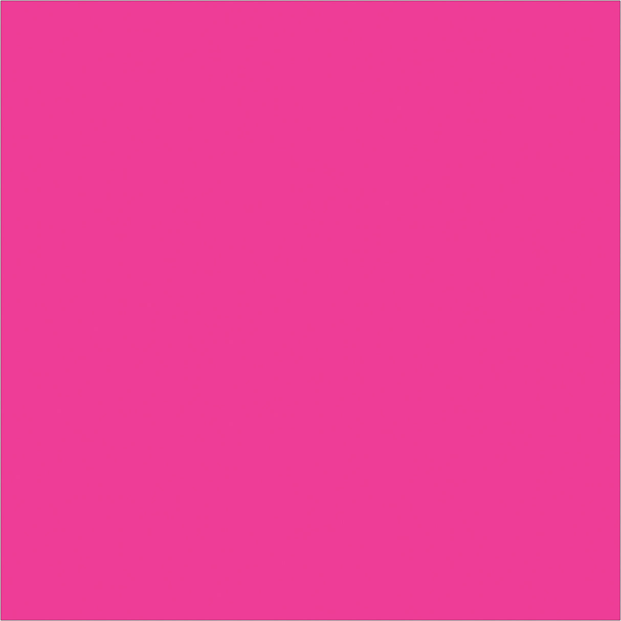 4 x 4" Fluorescent Pink Inventory Rectangle Labels