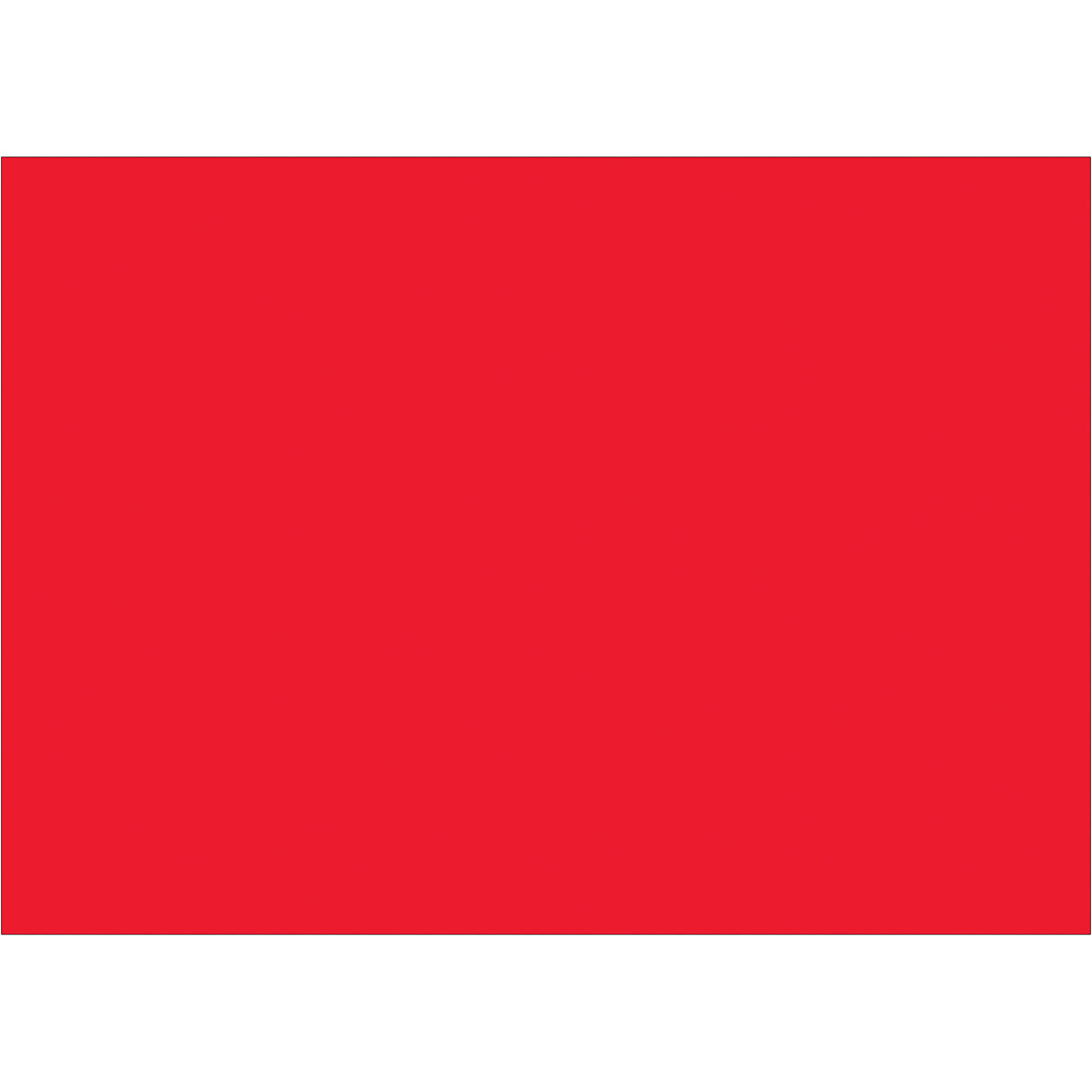 5 x 7" Fluorescent Red Inventory Rectangle Labels