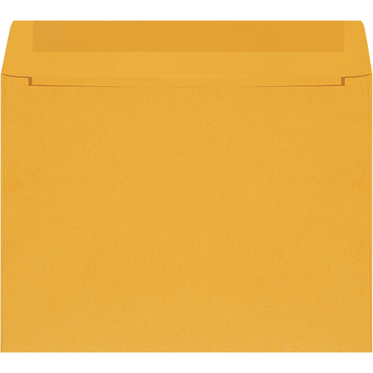 12 x 9" Kraft Self-Seal Envelopes