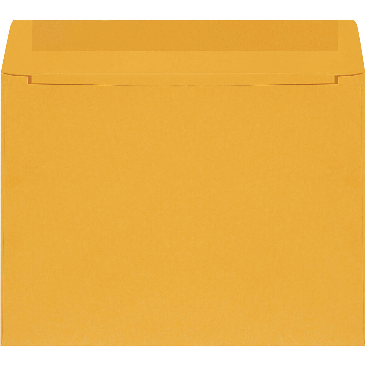 12 x 9" Kraft Self-Seal Envelopes