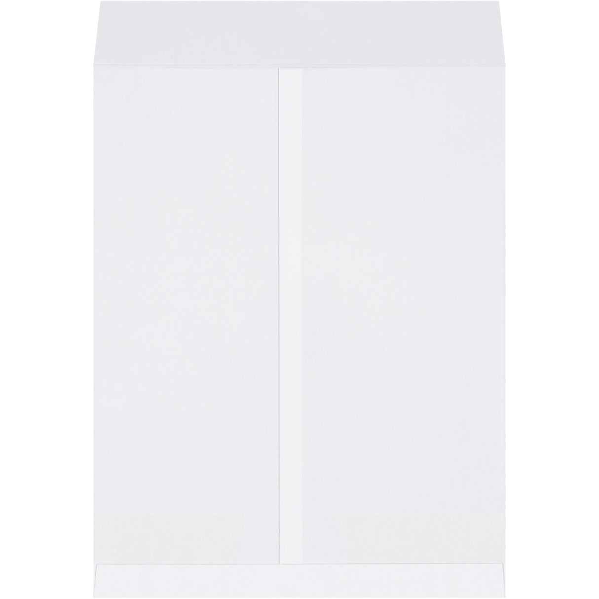 17 x 22" White Jumbo Envelopes