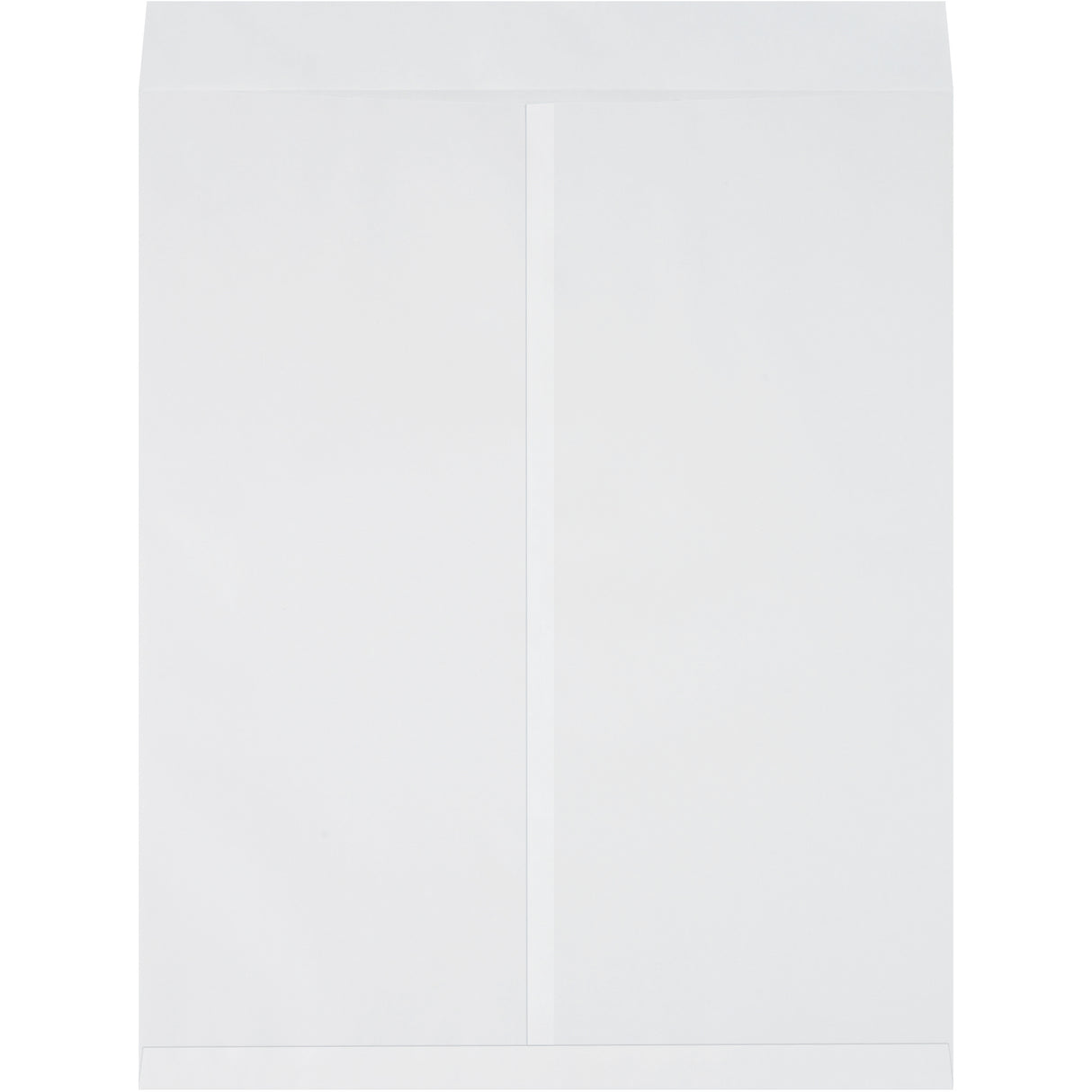 22 x 27" White Jumbo Envelopes