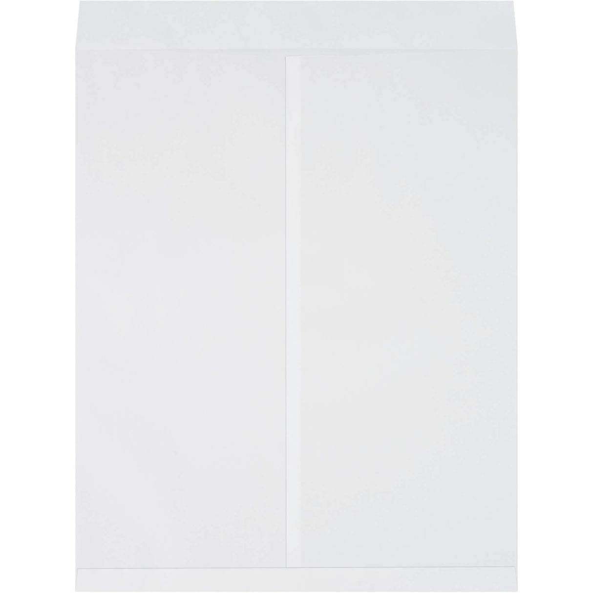 22 x 27" White Jumbo Envelopes