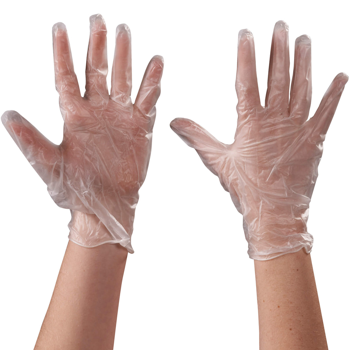 Vinyl Gloves Clear - 5 Mil - Powdered - Large
