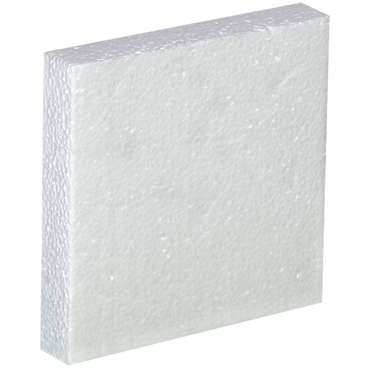 1 - 1 Gallon Plastic Jug Foam Insert