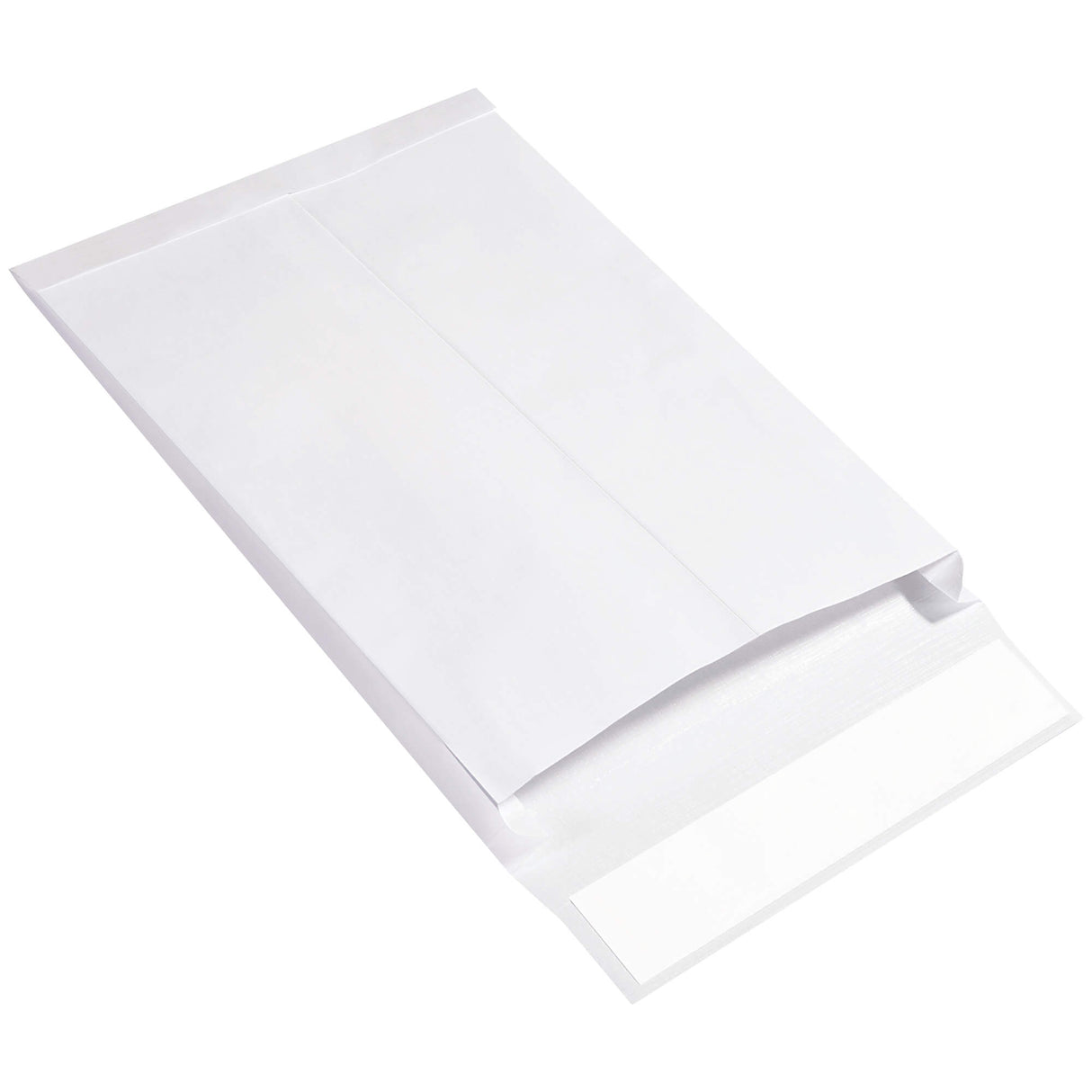 10 x 13 x 1 1/2" Expandable Ship-Lite® Envelopes