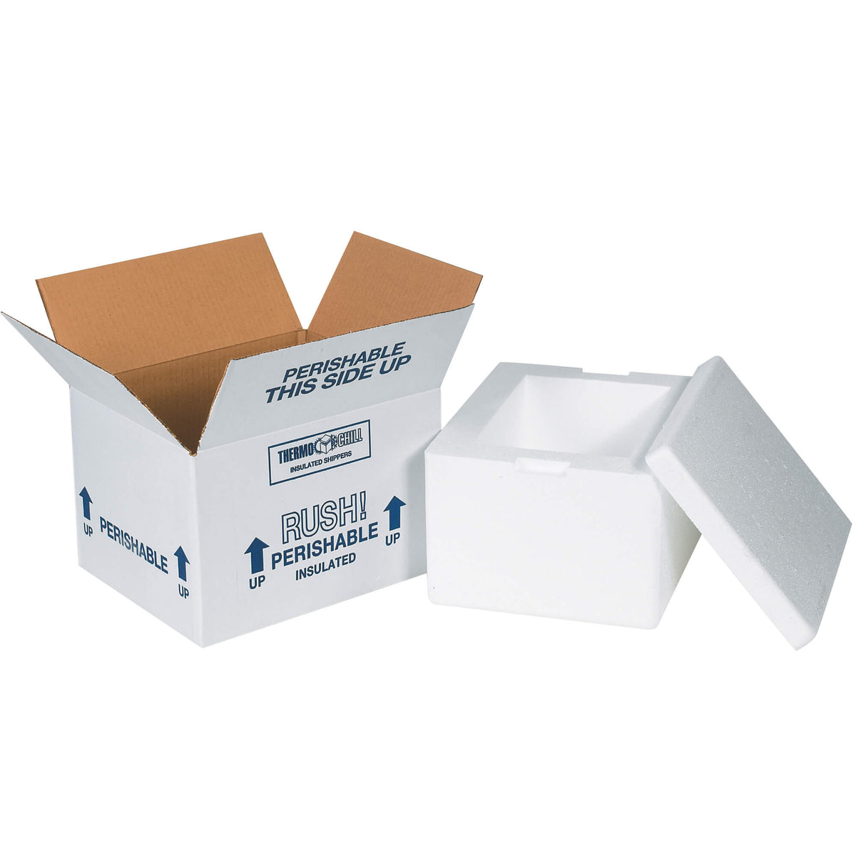 Foam Cooler no box 8 X 6 X 4 1/4