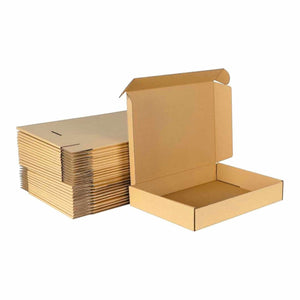 Kraft Literature Mailer