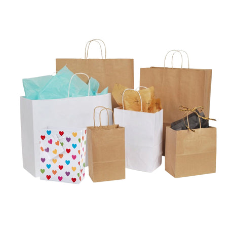 Paper and Plastic Shopping Bags