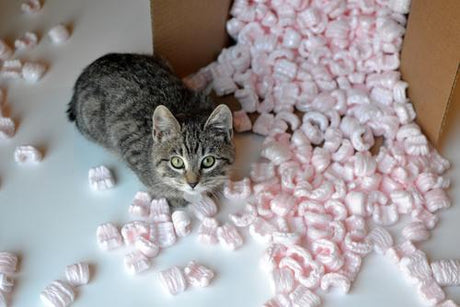 Styrofoam Peanuts