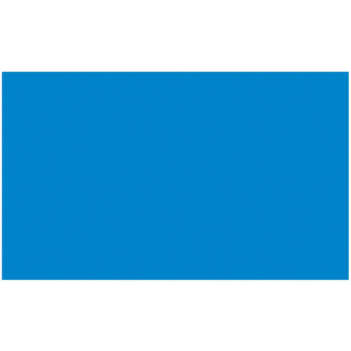 3 x 5" -  Blue Removable Rectangle Labels