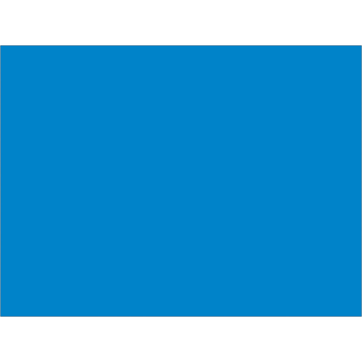 3 x 4" Light Blue Inventory Rectangle Labels