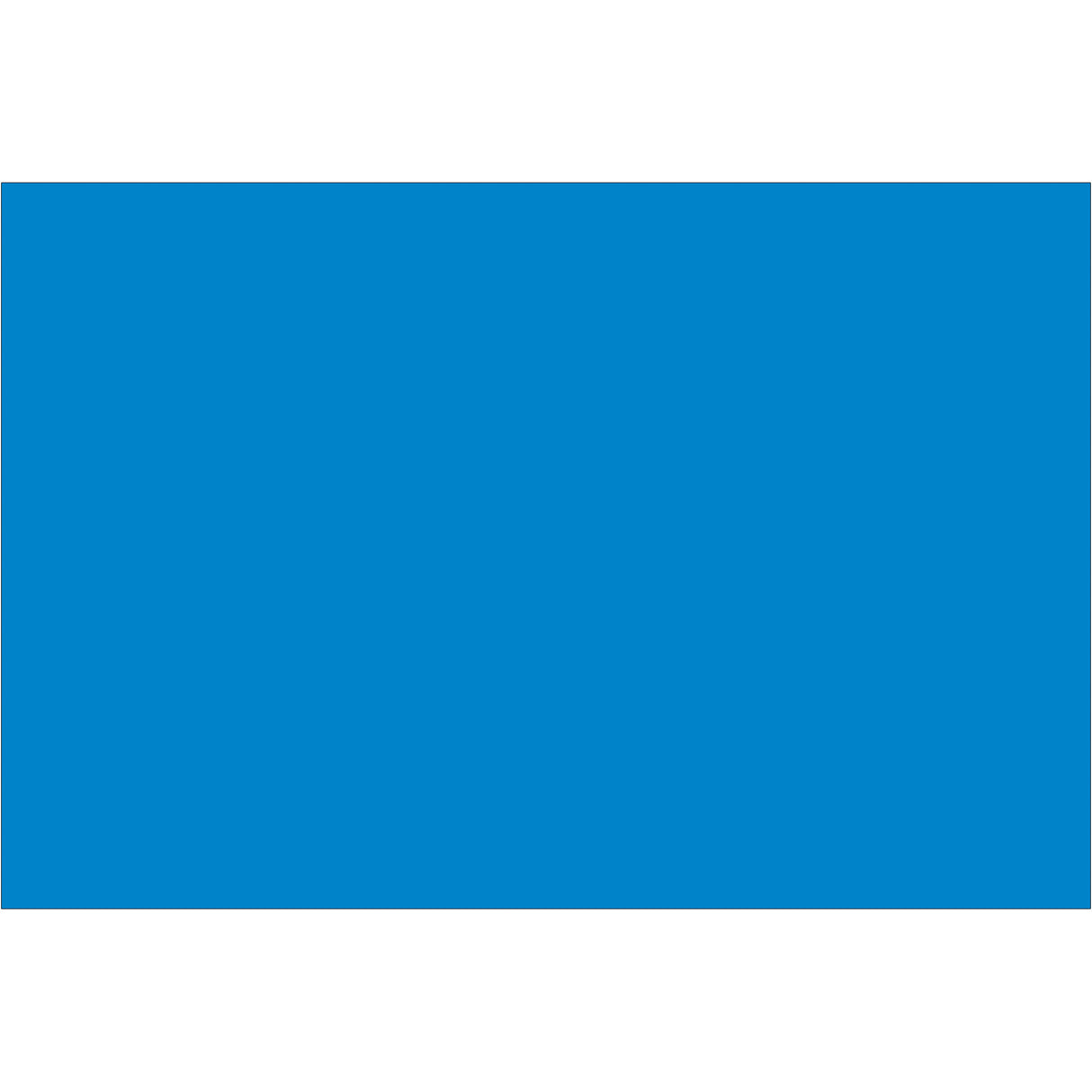4 x 6" Light Blue Inventory Rectangle Labels