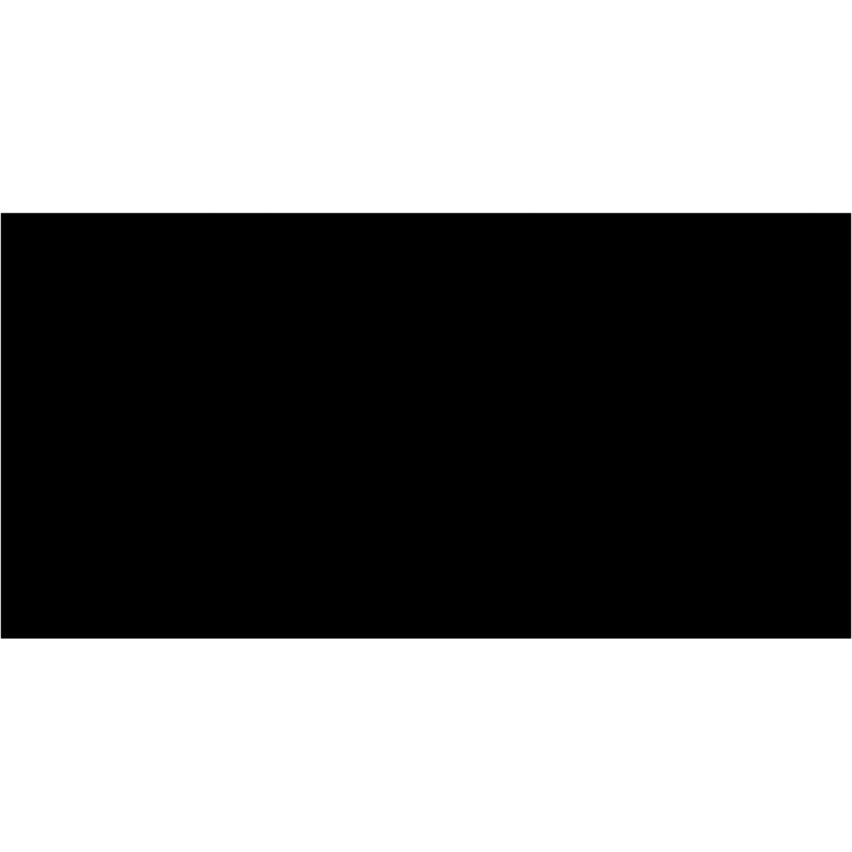 2 x 4" Black Inventory Rectangle Labels