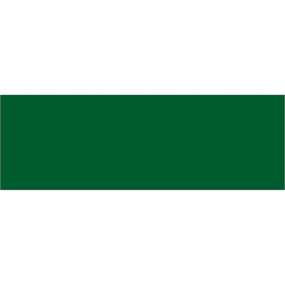 3 x 9" Green Inventory Rectangle Labels