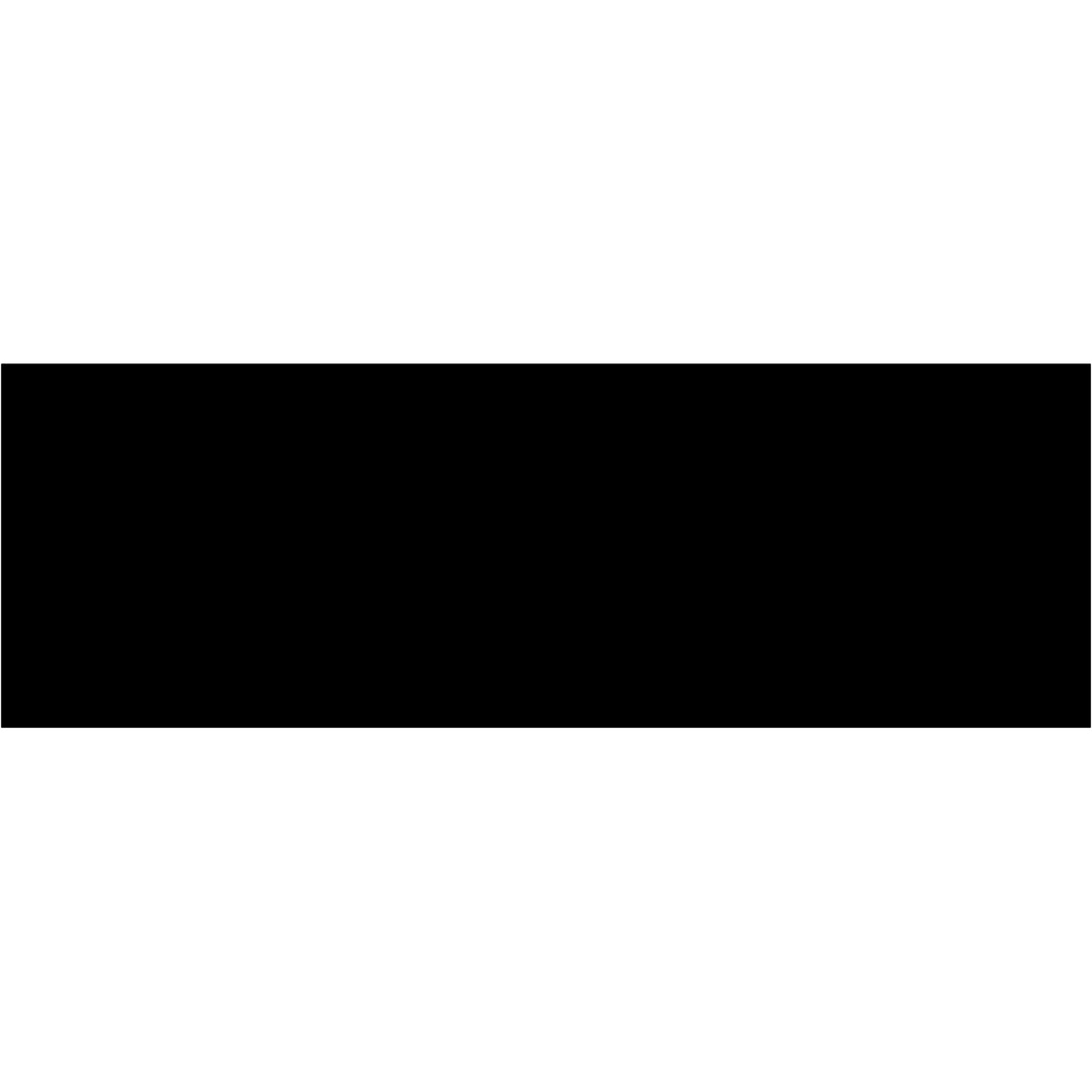 3 x 9" Black Inventory Rectangle Labels