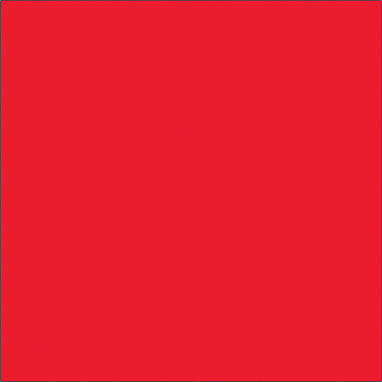4 x 4" Fluorescent Red Inventory Rectangle Labels