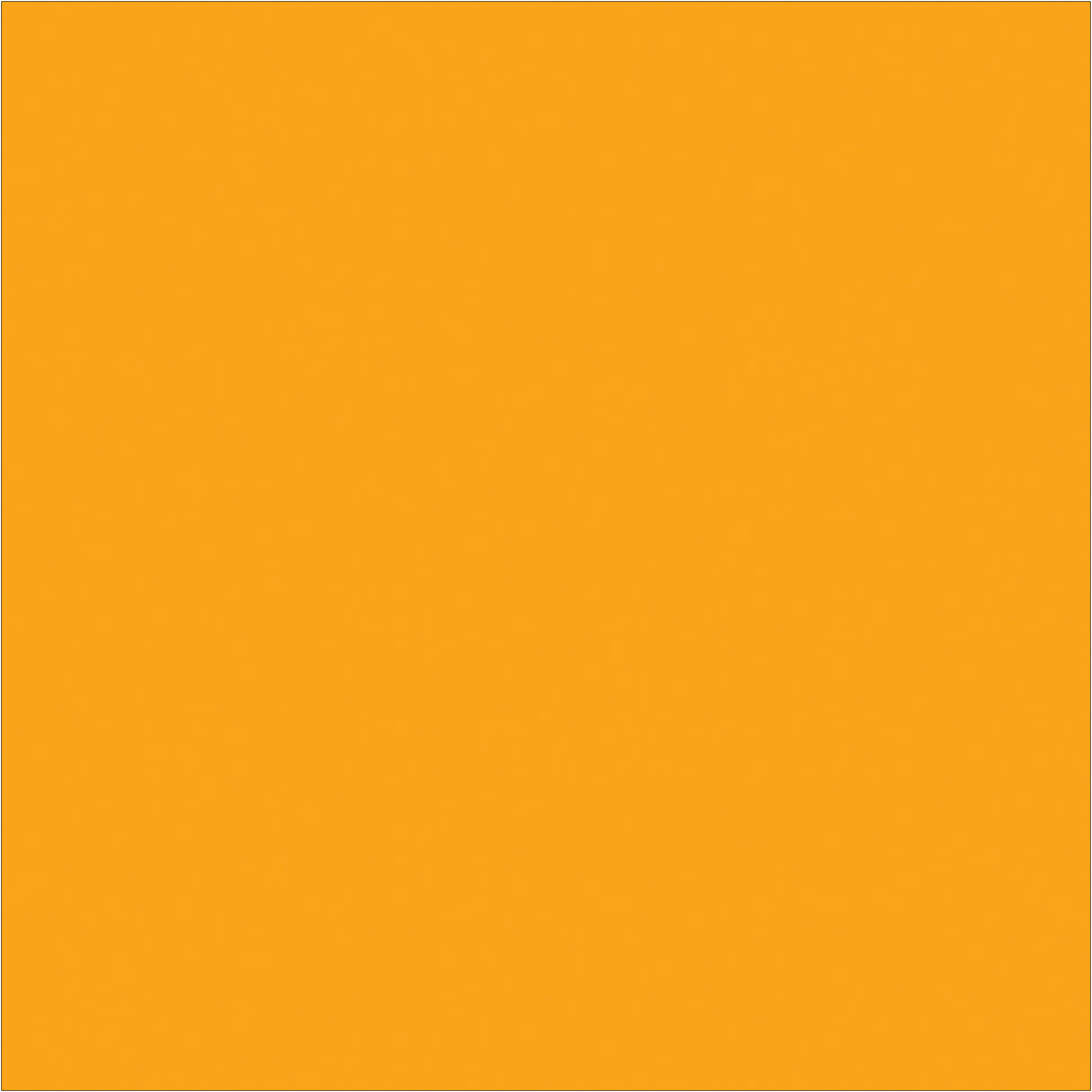 4 x 4" Fluorescent Orange Inventory Rectangle Labels