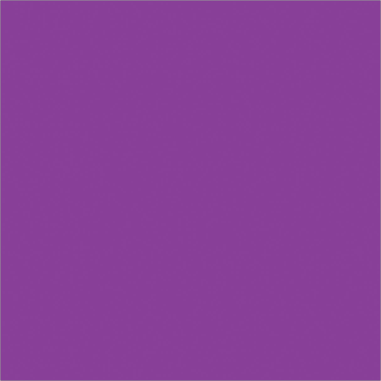 4 x 4" Purple Inventory Rectangle Labels
