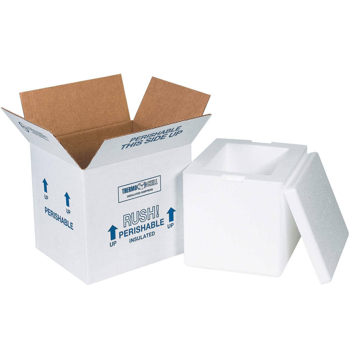 Foam Cooler no box  8 X 6 X 7