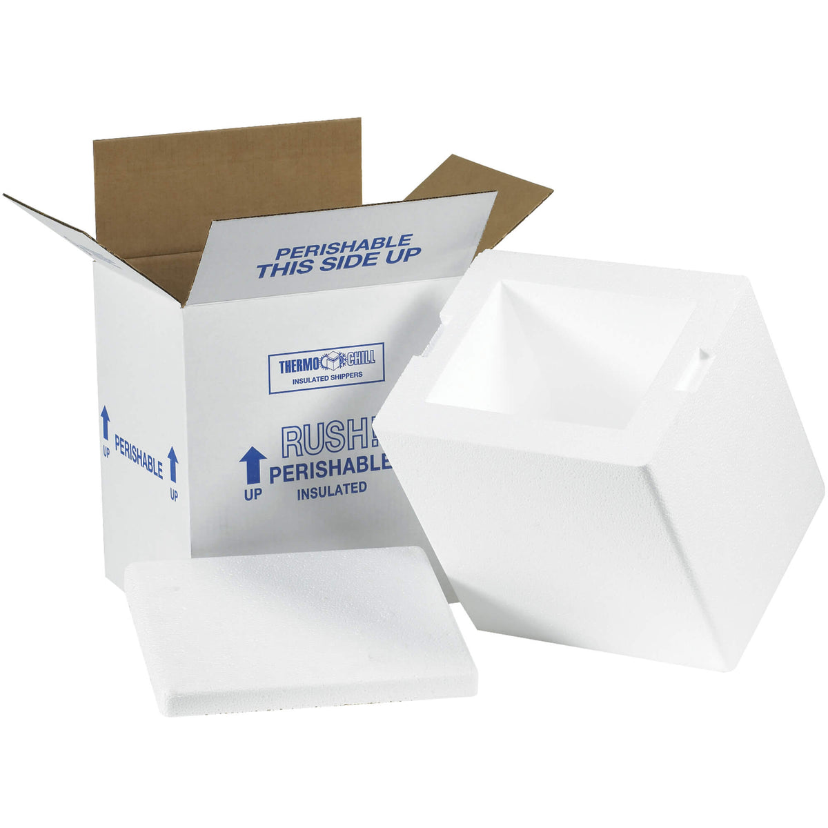 Foam Cooler no box  8 X 6 X 9
