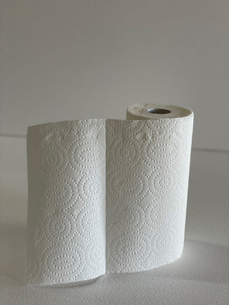 Select A Size Paper Towels 24/Case