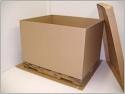 46 X 39 X 34 DW Pal Body Gaylord Style Box
